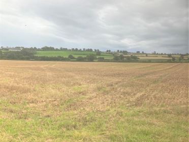 Image for Lands To Let, 6.73 Hectares/16.63 acres at, Rathwade, Nurney, Co. Carlow