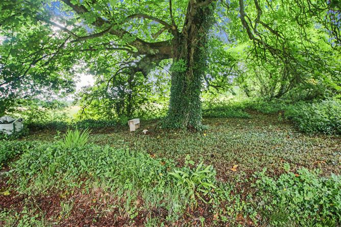 The Lodge, Granny, Ballinameen, Boyle, Co. Roscommon