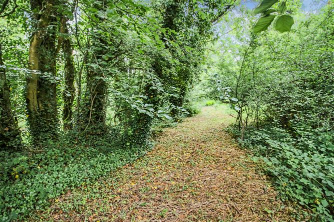 The Lodge, Granny, Ballinameen, Boyle, Co. Roscommon