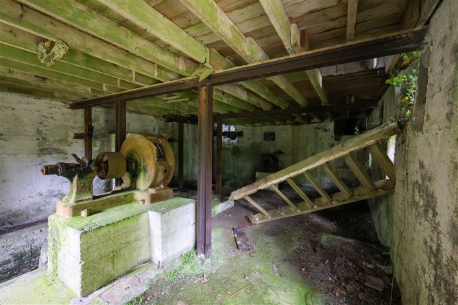 The Old Mill, Forgney, Ballymahon, Longford
