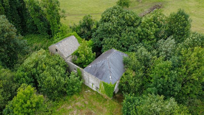 The Old Mill, Forgney, Ballymahon, Longford
