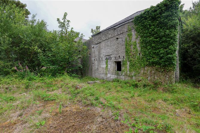 The Old Mill, Forgney, Ballymahon, Longford