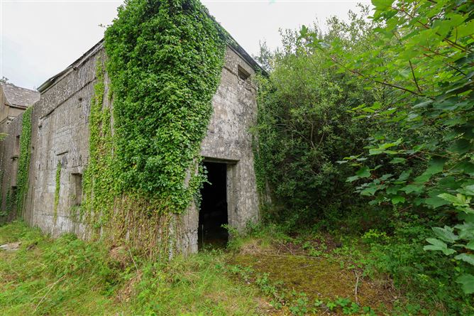 The Old Mill, Forgney, Ballymahon, Longford