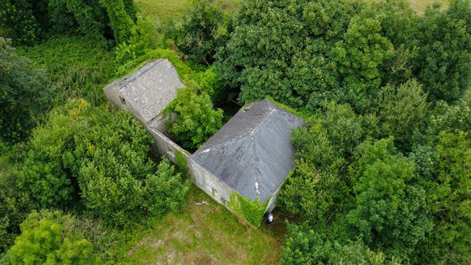 The Old Mill, Forgney, Ballymahon, Longford