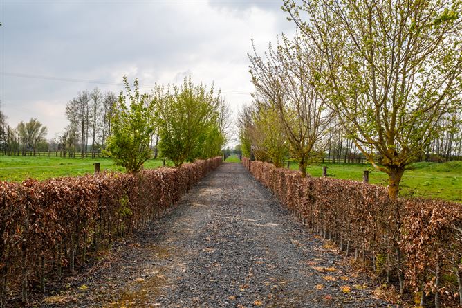 The Seasons, Quinsboro, Monasterevin, Kildare