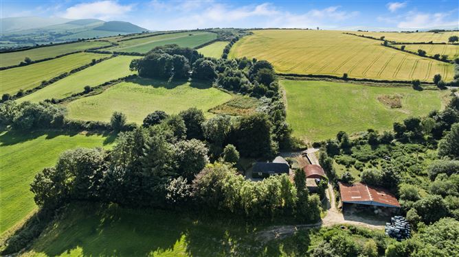 Photo 32 of 41 — Ballymoneen, Avoca, Co. Wicklow