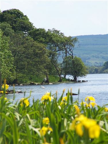 Nasool Cottage & Houses, Geevagh, Co. Sligo