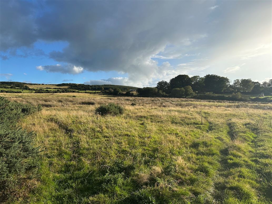 C.5.65 Acre Site SPP at Drumbawn, Newtownmountkennedy, Wicklow