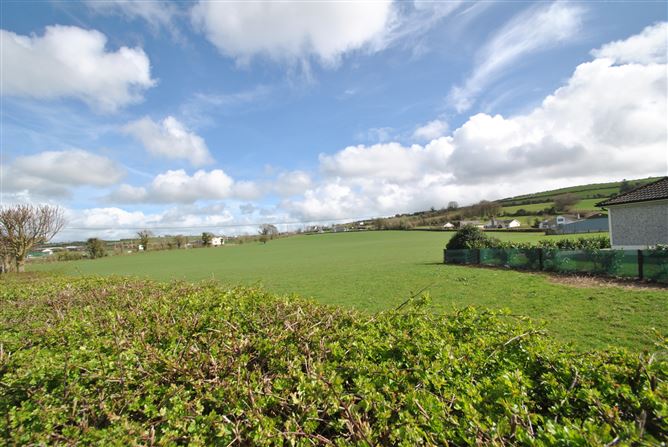 AGRICULTURAL LAND, Moneygall, Co. Offaly