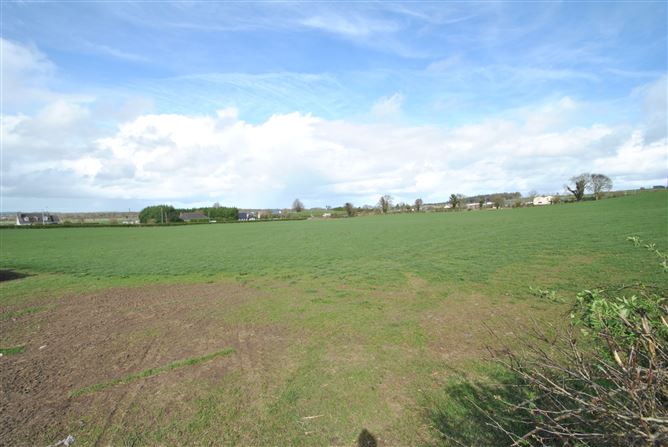 AGRICULTURAL LAND, Moneygall, Co. Offaly
