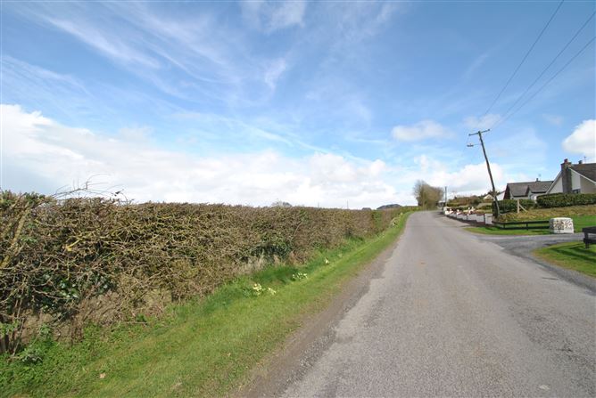 AGRICULTURAL LAND, Moneygall, Co. Offaly