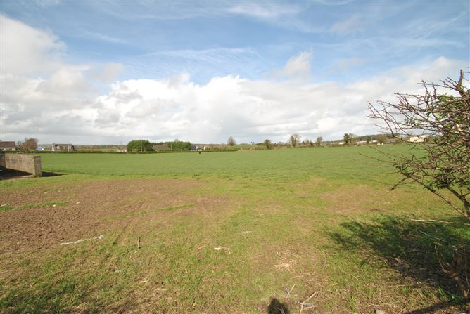 AGRICULTURAL LAND, Moneygall, Co. Offaly