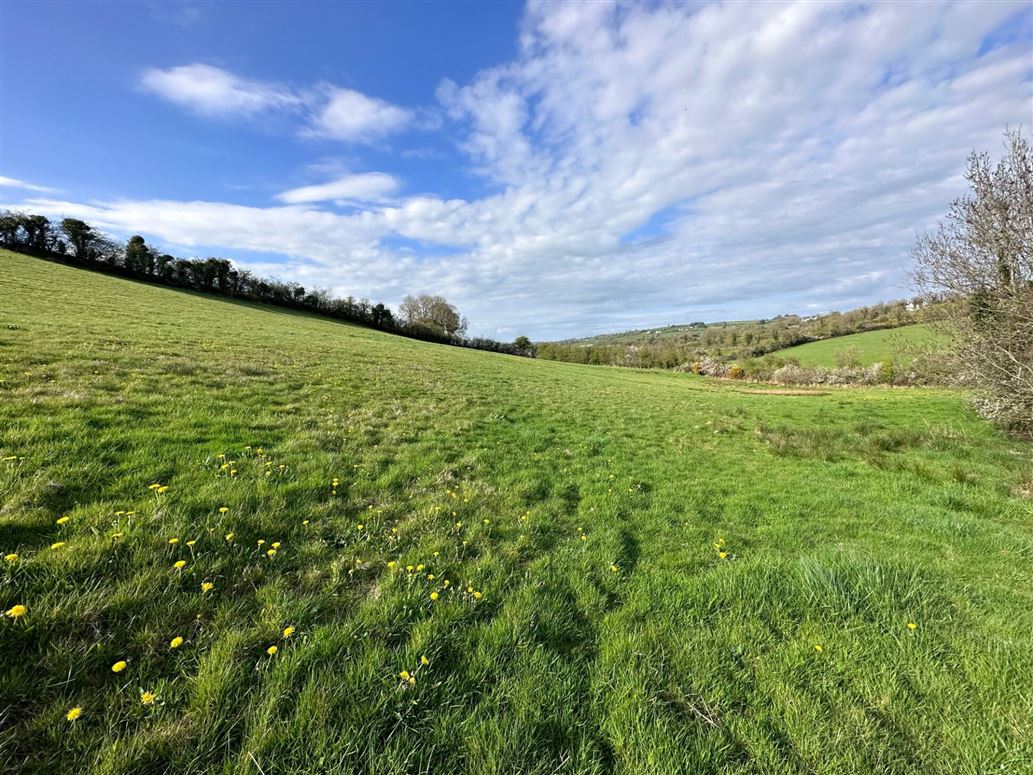 Lands At Ennis, Castleshane, Co. Monaghan Sherry FitzGerald Conor