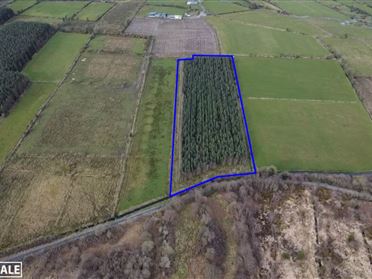 Image for C. 5.09 Acres Forestry, Gunnode, Newbridge, County Galway