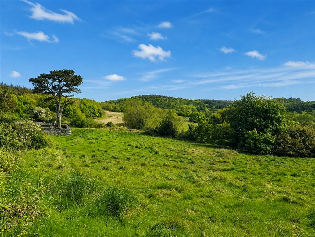 C.2-Acre Plot at, Glen Of The Downs, Wicklow