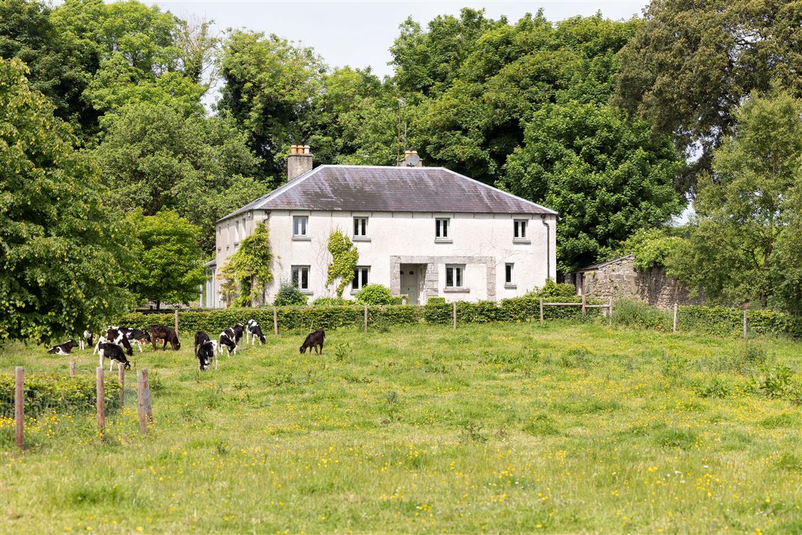  Country House on 11.15 acres, Oldcastle, Meath