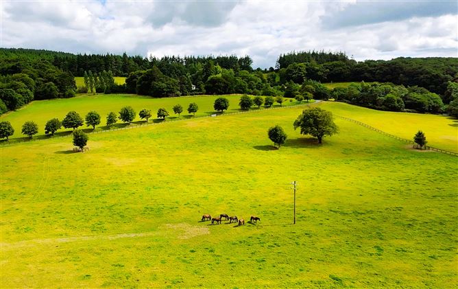 Ballinacooley, Glenealy, Wicklow