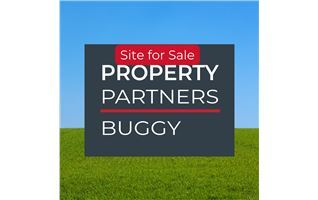 Leighlin Road, Crossneen, Graiguecullen, Co. Laois, Graiguecullen, Carlow