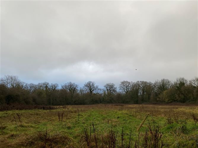 Leighlin Road, Crossneen, Graiguecullen, Co. Laois, Graiguecullen, Carlow