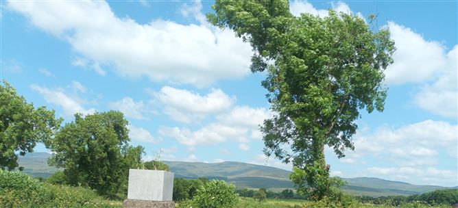 Photo 13 of 13 — Old Shanbally, Burncourt, Tipperary