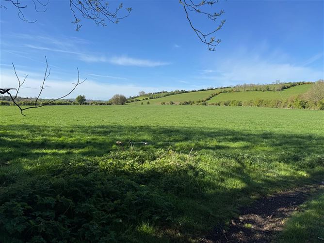 Land C. 55 Acres / 22.25 Hectares, Dunlavin, Wicklow
