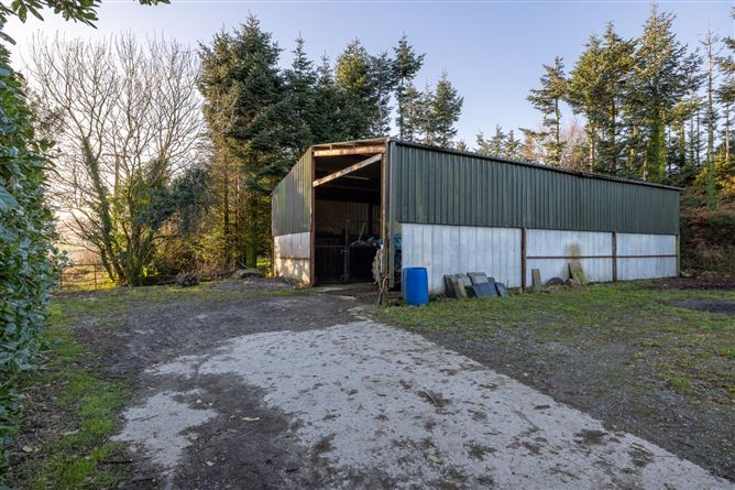 Tally Ho, Corrageen, Rathnure, Enniscorthy, Co. Wexford