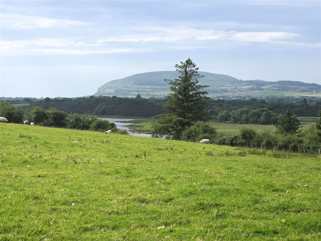 Crockacullion, Beltra, Sligo