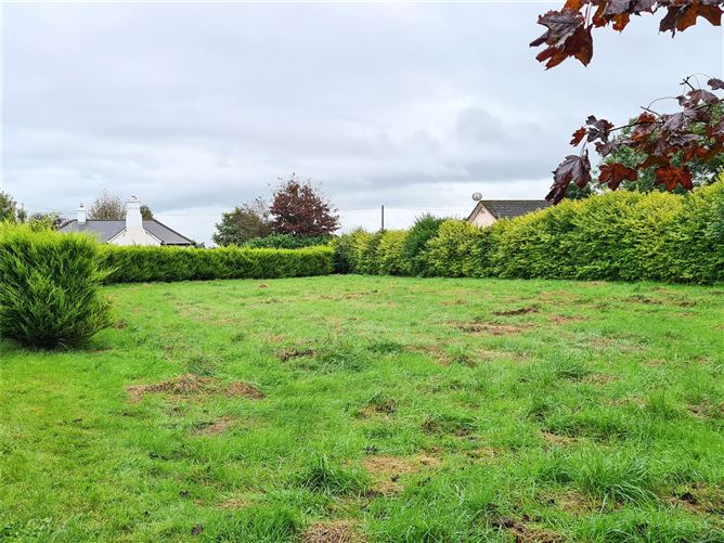 Curraheen, Horse & Jockey, Thurles, Co. Tipperary