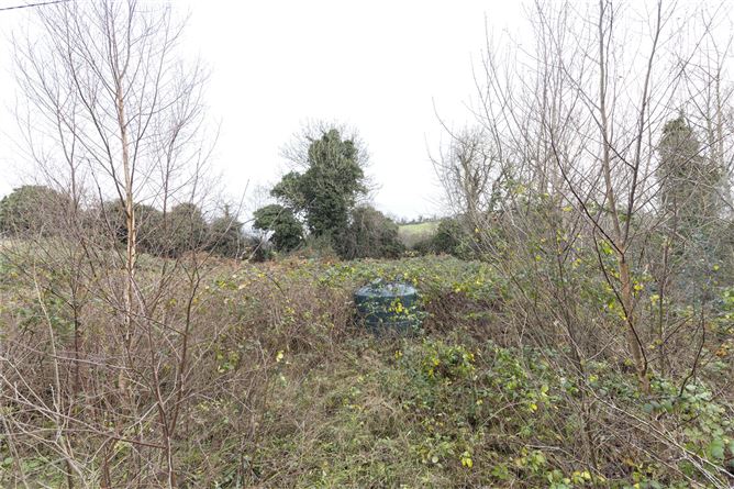 Drumcoghill, Ballinagh, Co. Cavan