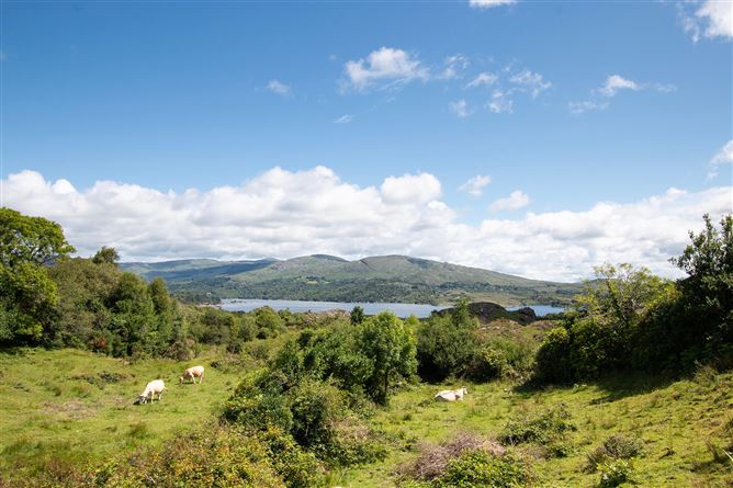 Bocarnagh, Glengarriff, Co. Cork