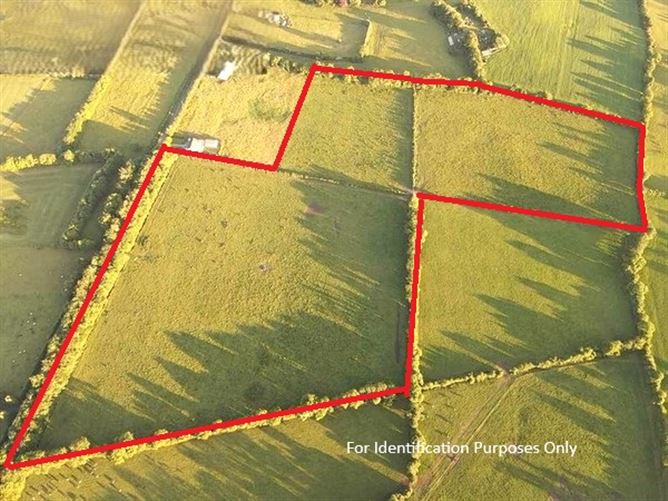 Lands Kilmer & Portan, Ballivor, Meath