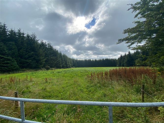 Glenpipe, Tullogher, Co. Kilkenny