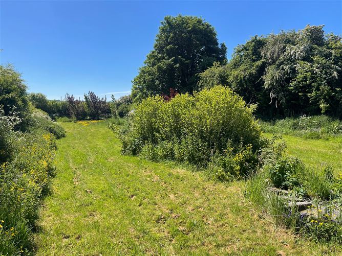 Doonane, Crettyard, Laois