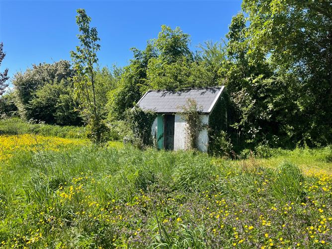 Doonane, Crettyard, Laois