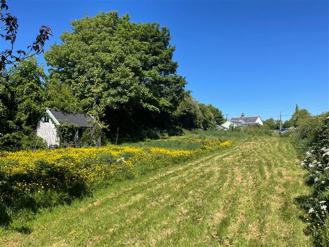 Doonane, Crettyard, Laois