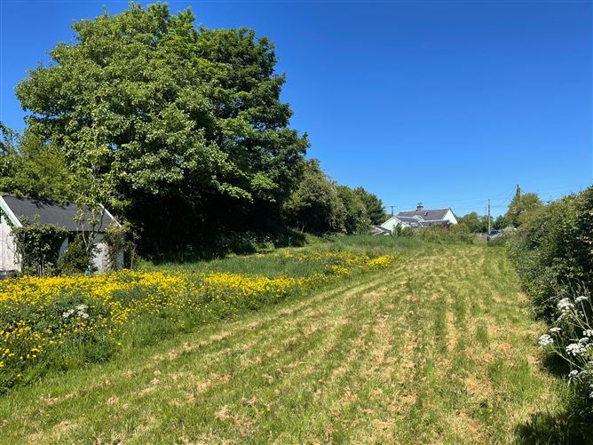 Doonane, Crettyard, Laois