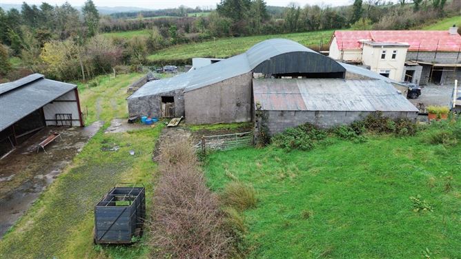 Drumanespick, Bailieborough, Co. Cavan