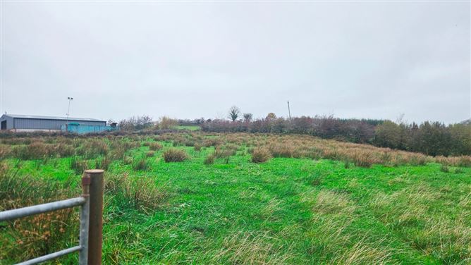 Drumanespick, Bailieborough, Co. Cavan