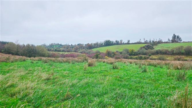 Drumanespick, Bailieborough, Co. Cavan