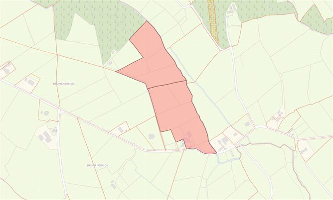 Drumanespick, Bailieborough, Co. Cavan