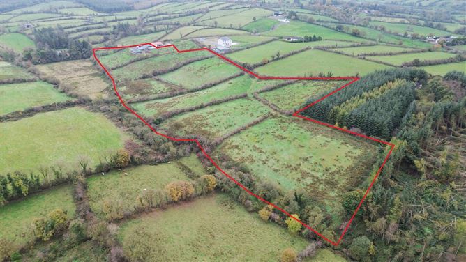 Drumanespick, Bailieborough, Co. Cavan