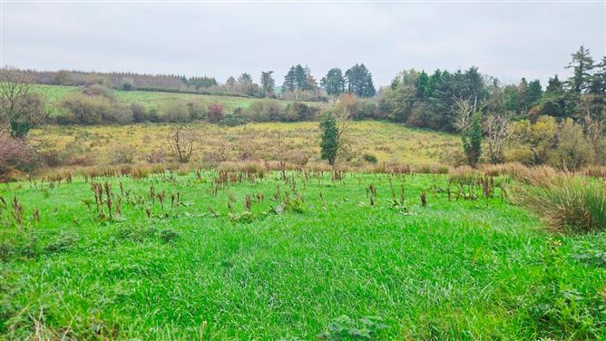 Drumanespick, Bailieborough, Co. Cavan