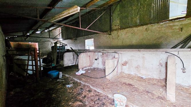 Drumanespick, Bailieborough, Co. Cavan