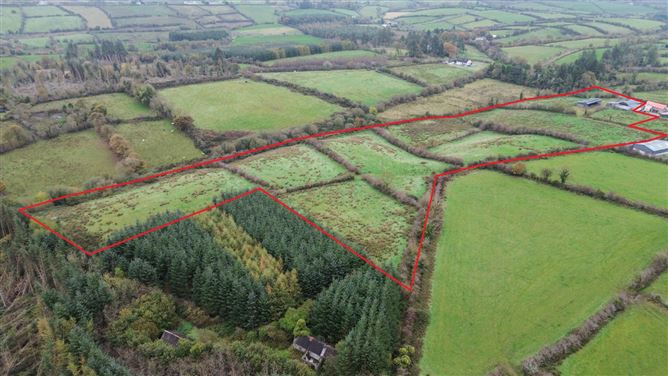 Drumanespick, Bailieborough, Co. Cavan