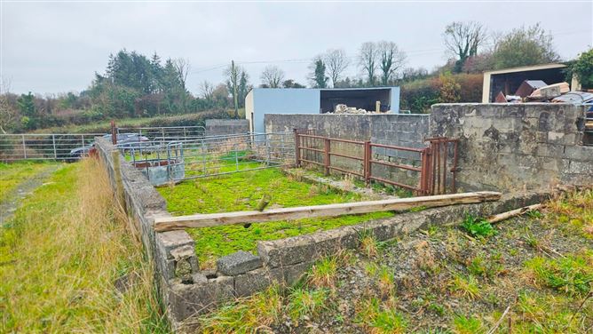 Drumanespick, Bailieborough, Co. Cavan