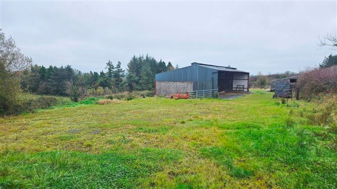 Drumanespick, Bailieborough, Co. Cavan