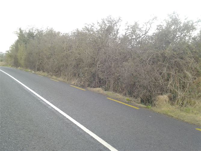 c. 0.36 hectare Plot of Land at Ballinagilky, Hacketstown, Carlow