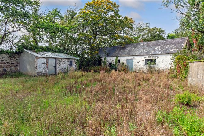 Farmhouse/Outbuildings 23.22acres, Silverspring, Ballycogley, Co. Wexford