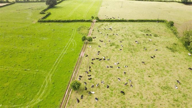 Lands Kill Saint Anne, Castlelyons, Co. Cork