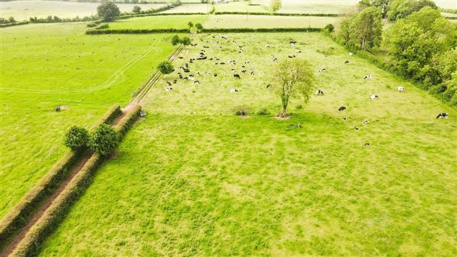 Lands Kill Saint Anne, Castlelyons, Co. Cork